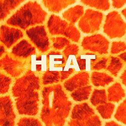 Albumcover von LEYYA - Heat; Foto von einer rot-orangen Struktur, die an Zellen erinnert, davor der Schriftzug "HEAT"