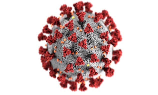Das COVID-19 Virus