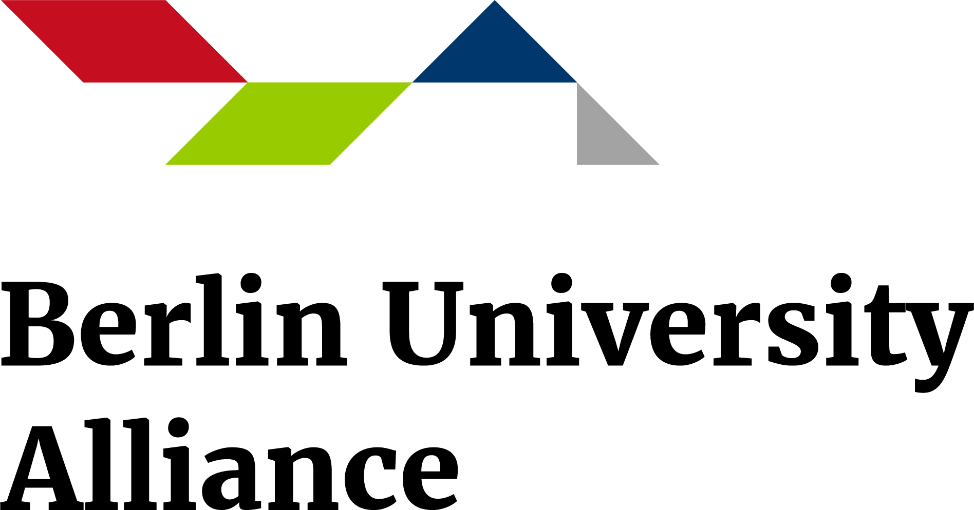 Logo BUA