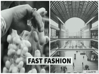 Vorschaubild Fast Fashion: links Hände, die Baumwolle pflücken. Rechts die Mall of Berlin in schwarz-weiß.