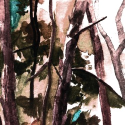Cover von HOP ALONG; Aquarell von dunklen Baumstämmen und Blättern