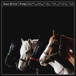 Foxing Cover