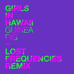 Girls in Hawaii Cover; Name der Band und Albumtitel in giftgrün und pink vor violettem Hintergrund
