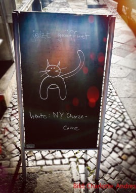 Katzenmusikcafé