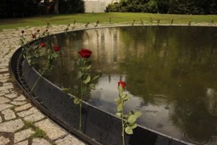 Wasserbecken mit roten Rosen