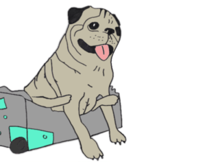 Colorierte Zeichnung von dem Hund Noodle, wie er in einem Koffer sitzt.