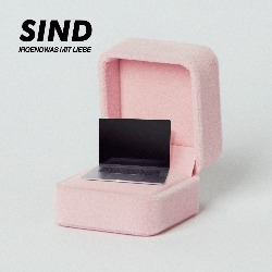 Cover von Sind "Irgendwas ist Liebe"; eine pinke Ringschatulle, in der ein kleiner Laptop ist