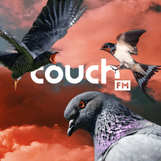 Vögel vor rotem Wolkenhimmel; in der Mitte couchFM Logo