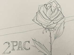 Bleistiftzeichnung einer Rose, daneben der Schriftzug "2pac"