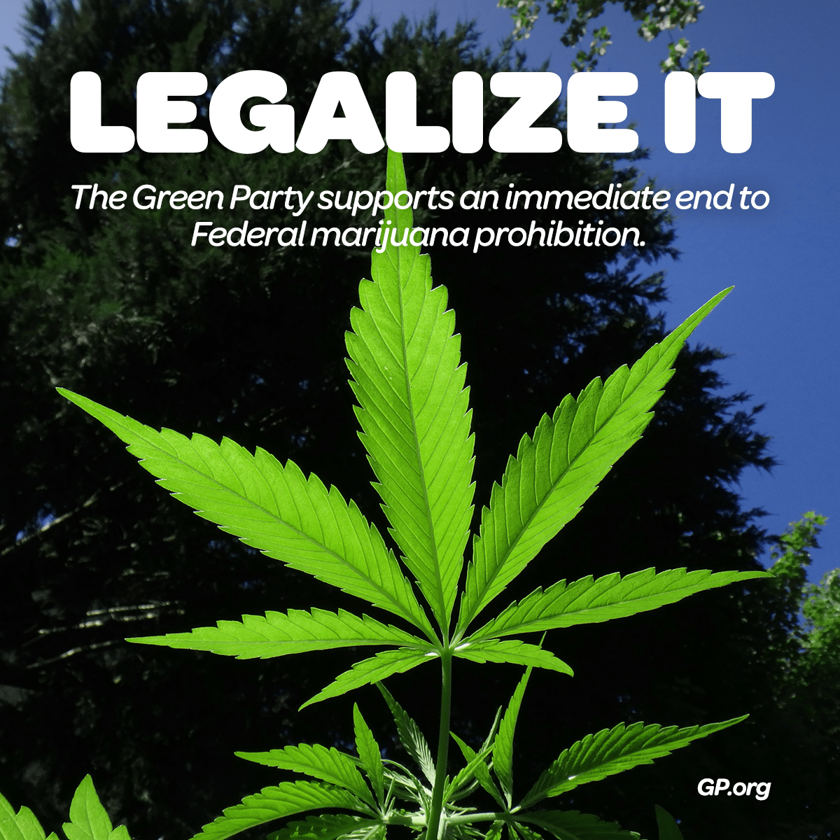 Wahlplakat der Green Party zur Präsidentschaftswahl 2020; Schrift: Legalize it; Wahlplakat für die Legalisierung von Cannabis